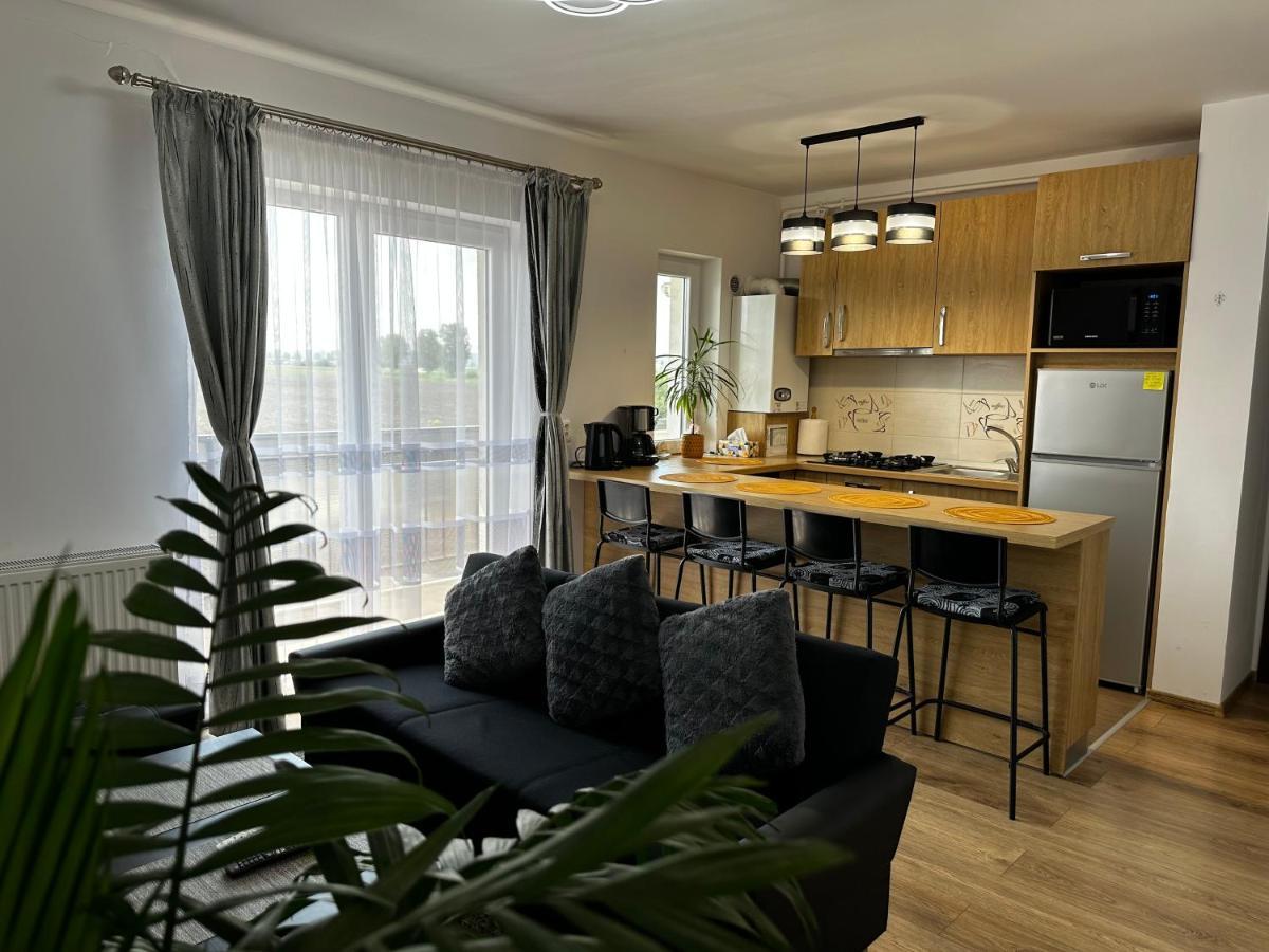 Apartment Elena Hermannstadt